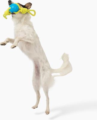 Show full view: Gnawsome Ball & Rope Tug Dog Toy, Blue & Yellow, Medium slide 2 of 4