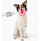 Show in main carousel: Gnawsome Squeaker Donut Dog Chew Toy, Pink slide 5 of 5