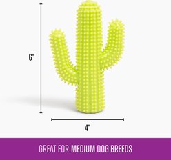 Gnawsome Squeaker Cactus Dog Chew Toy, Green slide 2 of 3