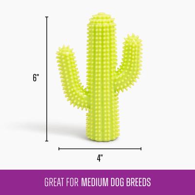 Show full view: Gnawsome Squeaker Cactus Dog Chew Toy, Green slide 3 of 3
