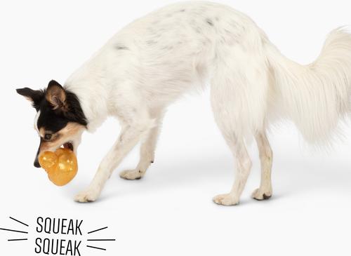 Show full view: Gnawsome Squeaker Duck Dog Chew Toy, Yellow slide 5 of 5