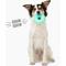 Show in main carousel: Gnawsome Squeaker Donut Dog Chew Toy, Teal slide 4 of 4