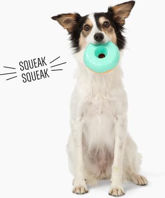 Show full view: Gnawsome Squeaker Donut Dog Chew Toy, Teal slide 4 of 4