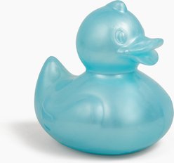 Gnawsome Squeaker Duck Dog Chew Toy, Light Blue