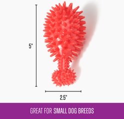 Gnawsome Squeaker Drumstick Dog Chew Toy, Red slide 2 of 3