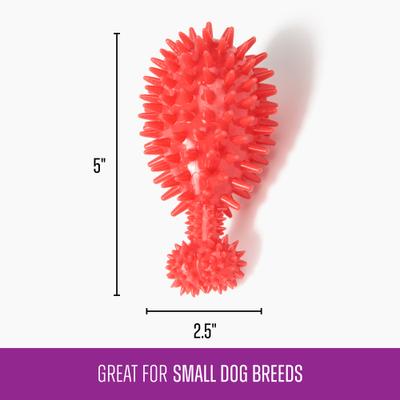 Show full view: Gnawsome Squeaker Drumstick Dog Chew Toy, Red slide 3 of 3