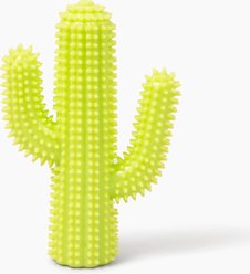 Gnawsome Squeaker Cactus Dog Chew Toy, Green