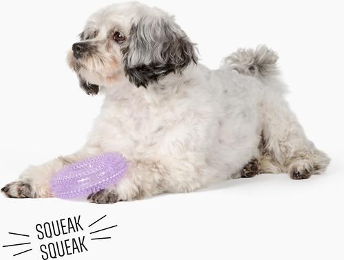 Show full view: Gnawsome Spiky Ring Dog Chew Toy, Purple, Small slide 2 of 4