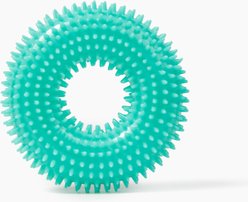 Gnawsome Spiky Ring Dog Chew Toy, Teal, Small