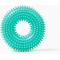 Show in main carousel: Gnawsome Spiky Ring Dog Chew Toy, Teal, Small slide 1 of 4