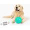 Show in main carousel: Gnawsome Spiky Ball Dog Chew Toy, Teal slide 2 of 4