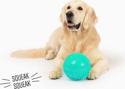 Show full view: Gnawsome Spiky Ball Dog Chew Toy, Teal slide 2 of 4