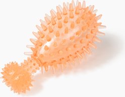 Gnawsome Squeaker Drumstick Dog Chew Toy, Orange