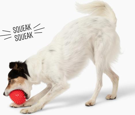 Show full view: Gnawsome Spiky Egg Dog Chew Toy, Red, Medium slide 2 of 4