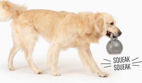 Show full view: Gnawsome Spiky Kettlebell Dog Chew Toy, Silver, Mega slide 5 of 5