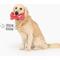 Show in main carousel: Gnawsome Squeaker Gummy Bear Dog Chew Toy, Red, Mega slide 3 of 5