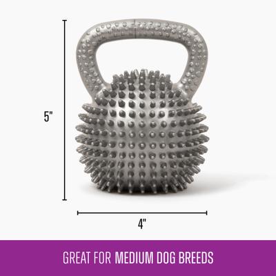 Show full view: Gnawsome Spiky Kettlebell Dog Chew Toy, Silver, Medium slide 3 of 3