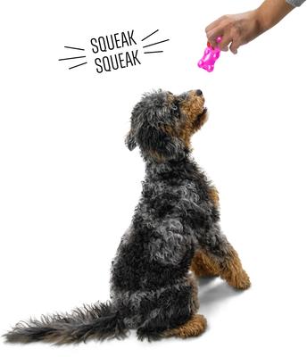 Show full view: Gnawsome Squeaker Gummy Bear Dog Chew Toy, Pink, Small slide 4 of 5