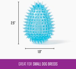 Gnawsome Spiky Egg Dog Chew Toy, Blue, Small slide 2 of 3