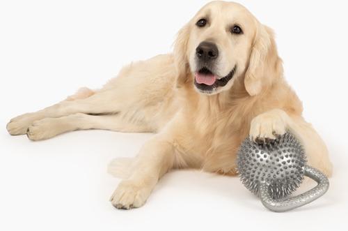 Show full view: Gnawsome Spiky Kettlebell Dog Chew Toy, Silver, Mega slide 3 of 5