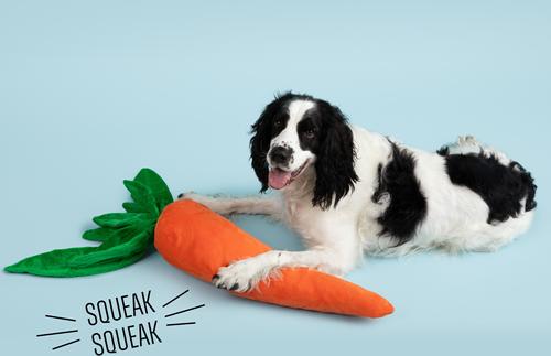 Show full view: Gnawsome Mega Carrot Plush Dog Toy slide 2 of 4
