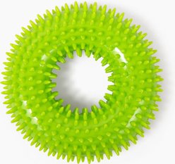 Gnawsome Spiky Ring Dog Chew Toy, Green, Medium