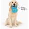 Show in main carousel: Gnawsome Spiky Kettlebell Dog Chew Toy, Blue, Mega slide 4 of 4