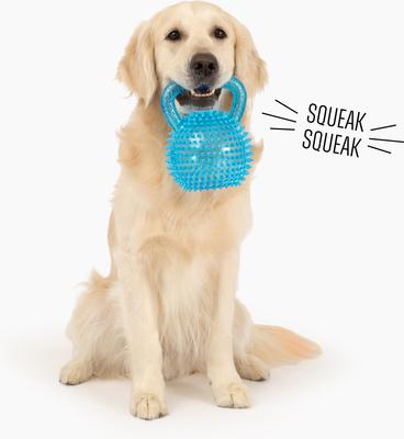 Show full view: Gnawsome Spiky Kettlebell Dog Chew Toy, Blue, Mega slide 4 of 4