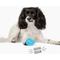 Show in main carousel: Gnawsome Spiky Egg Dog Chew Toy, Blue, Small slide 2 of 4