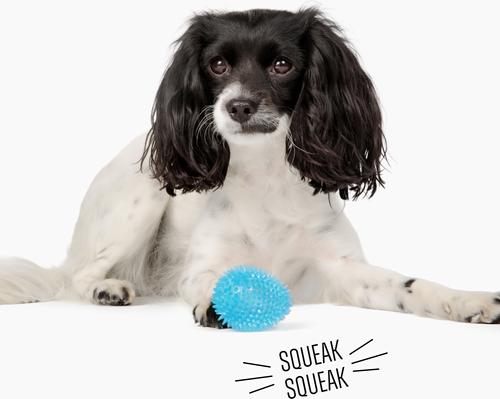 Show full view: Gnawsome Spiky Egg Dog Chew Toy, Blue, Small slide 2 of 4