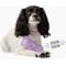 Show in main carousel: Gnawsome Squeaker Gummy Bear Dog Chew Toy, Purple, Medium slide 2 of 4