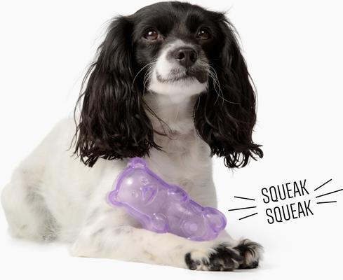 Show full view: Gnawsome Squeaker Gummy Bear Dog Chew Toy, Purple, Medium slide 2 of 4