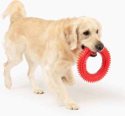 Show full view: Gnawsome Spiky Ring Dog Chew Toy, Red, Mega slide 2 of 5