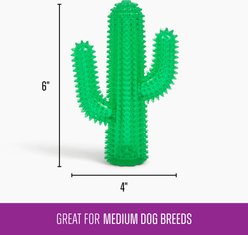 Gnawsome Squeaker Cactus Dog Chew Toy, Dark Green slide 2 of 3