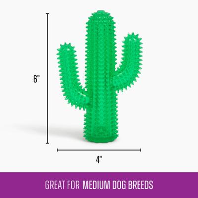 Show full view: Gnawsome Squeaker Cactus Dog Chew Toy, Dark Green slide 4 of 4