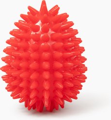 Gnawsome Spiky Egg Dog Chew Toy, Red, Medium
