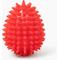 Show in main carousel: Gnawsome Spiky Egg Dog Chew Toy, Red, Medium slide 1 of 4