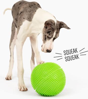 Show full view: Gnawsome Herding Ball Dog Toy slide 5 of 5