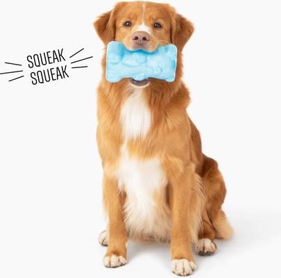 Show full view: Gnawsome Squeaker Gummy Bear Dog Chew Toy, Blue, Large slide 4 of 5