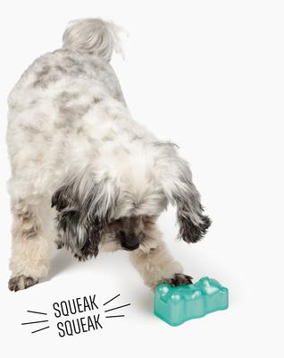 Show full view: Gnawsome Squeaker Gummy Bear Dog Chew Toy, Teal, Medium slide 2 of 4