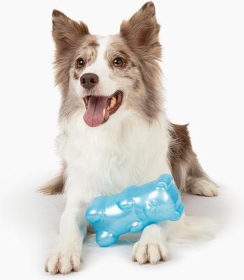 Show full view: Gnawsome Squeaker Gummy Bear Dog Chew Toy, Blue, Large slide 2 of 5