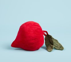 Gnawsome Mega Beet Plush Dog Toy