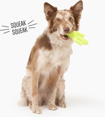 Show full view: Gnawsome Squeaker Cactus Dog Chew Toy, Green slide 2 of 3