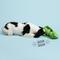 Show in main carousel: Gnawsome Mega Pea Pod Plush Dog Toy slide 2 of 4