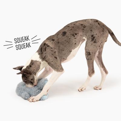 Show full view: Gnawsome Mega Monster Plush Dog Toy slide 4 of 5