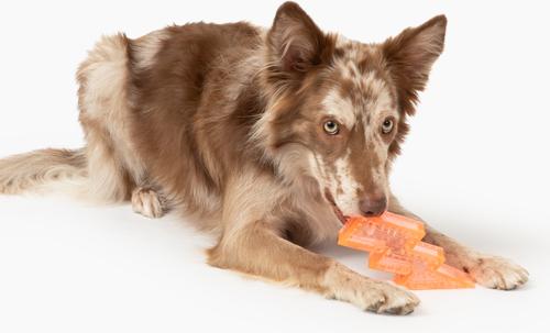 Show full view: Gnawsome Squeaker Lightning Bolt Dog Chew Toy, Neon Orange slide 2 of 4