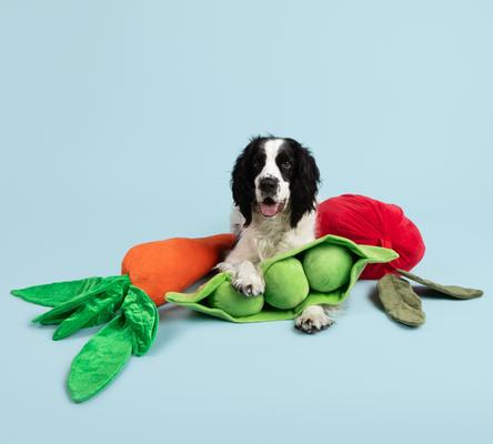 Show full view: Gnawsome Mega Pea Pod Plush Dog Toy slide 4 of 4