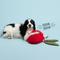 Show in main carousel: Gnawsome Mega Beet Plush Dog Toy slide 2 of 4