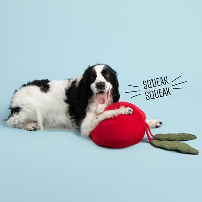 Show full view: Gnawsome Mega Beet Plush Dog Toy slide 2 of 4