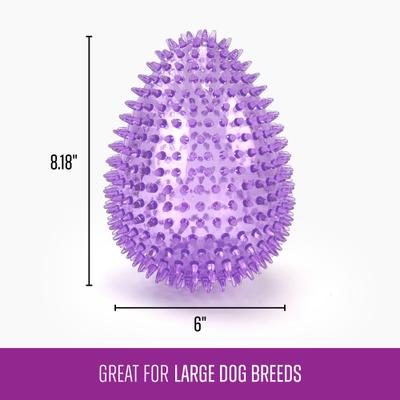 Show full view: Gnawsome Spiky Egg Dog Chew Toy, Purple, Mega slide 3 of 4